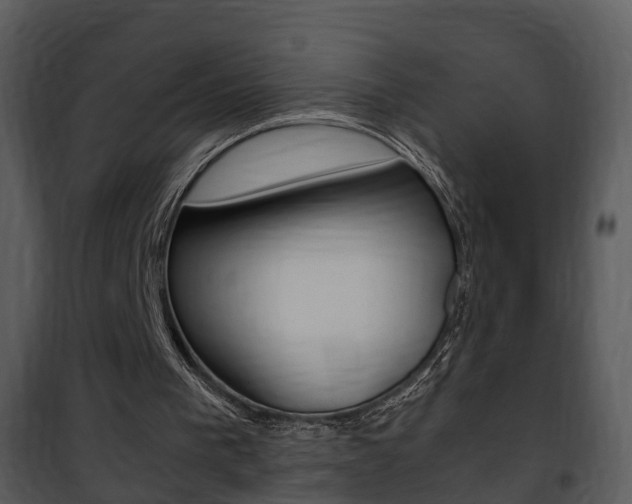 X0000101960193200807180710