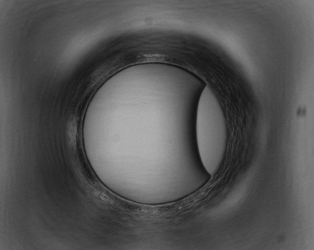 X0000101960194200807180710
