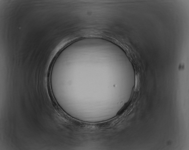 X0000101960195200807180710