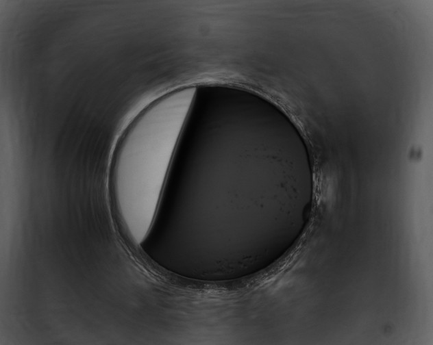 X0000101960196200807180710