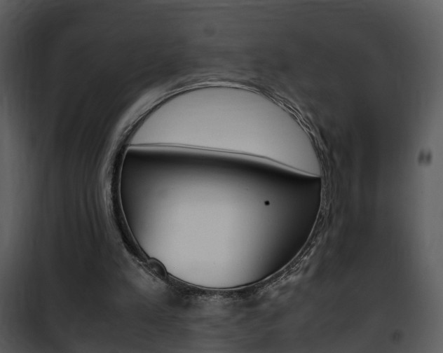 X0000101960197200807180710