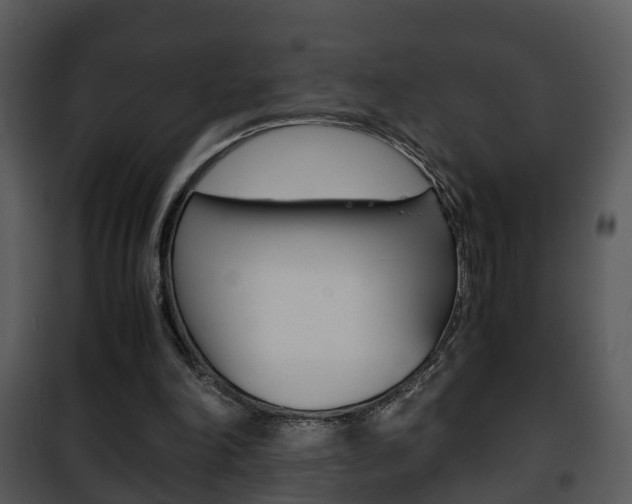 X0000101960198200807180710