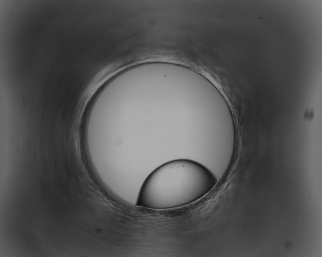 X0000101960199200807180710