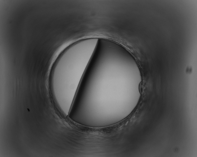 X0000101960200200807180710