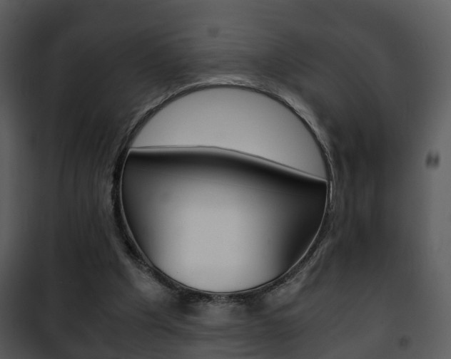 X0000101960201200807180710