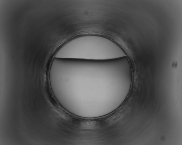 X0000101960202200807180710