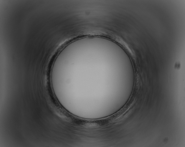 X0000101960203200807180710