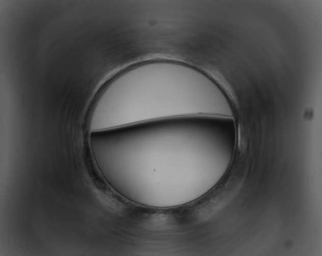 X0000101960204200807180710