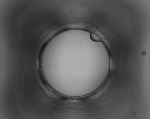 X0000101960205200807180710