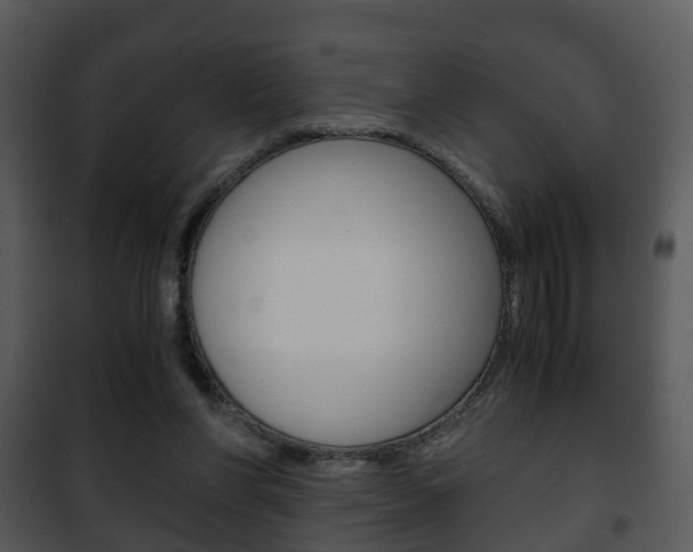 X0000101960206200807180710