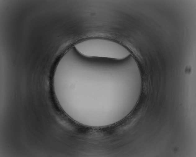 X0000101960207200807180710