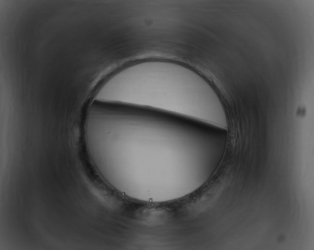 X0000101960208200807180710