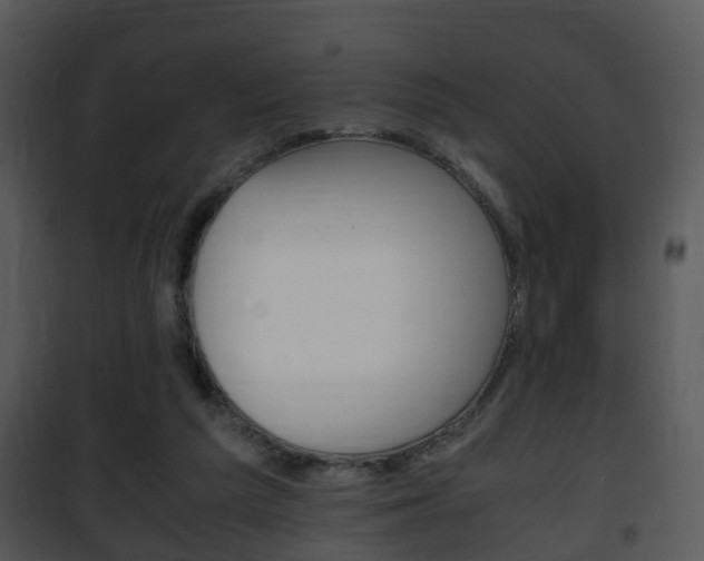 X0000101960209200807180710