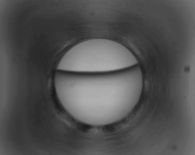 X0000101960211200807180710