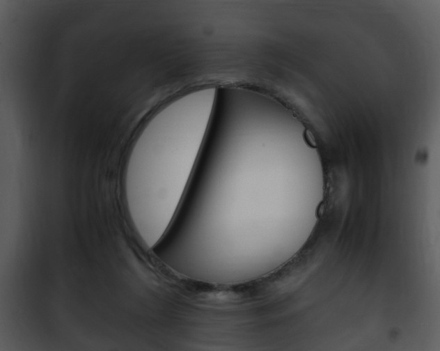 X0000101960212200807180710