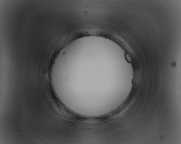 X0000101960213200807180710