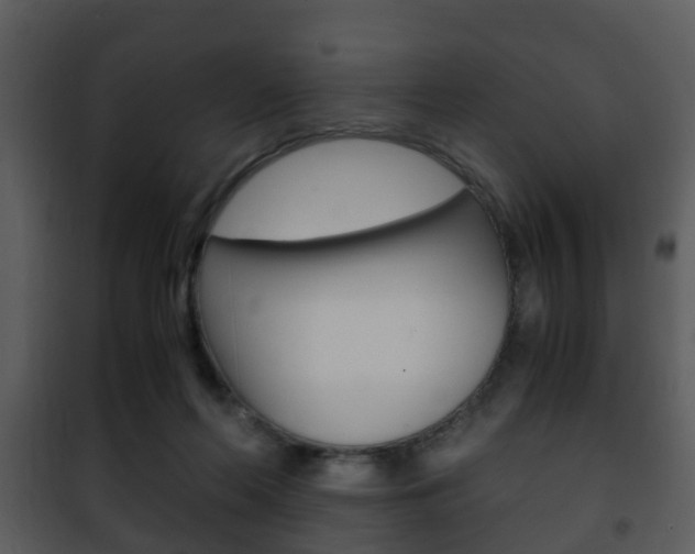 X0000101960214200807180710
