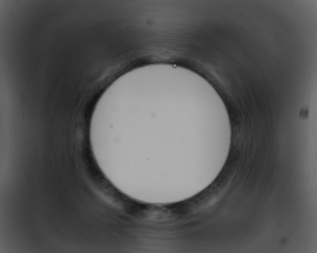 X0000101960215200807180710