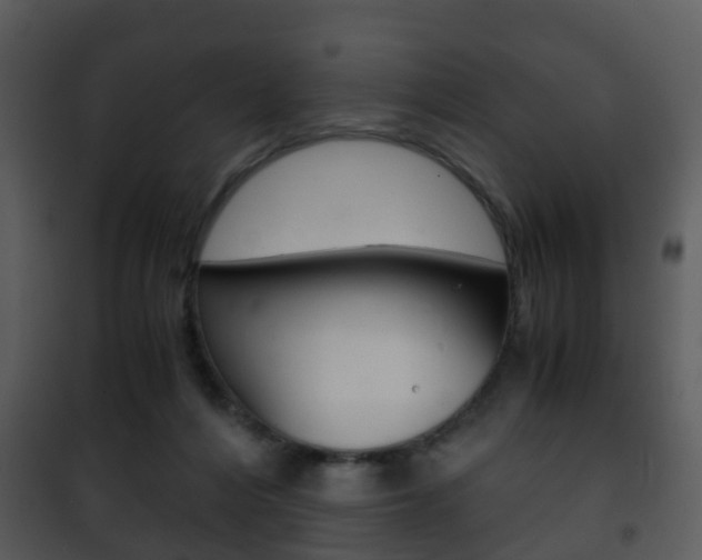 X0000101960216200807180710