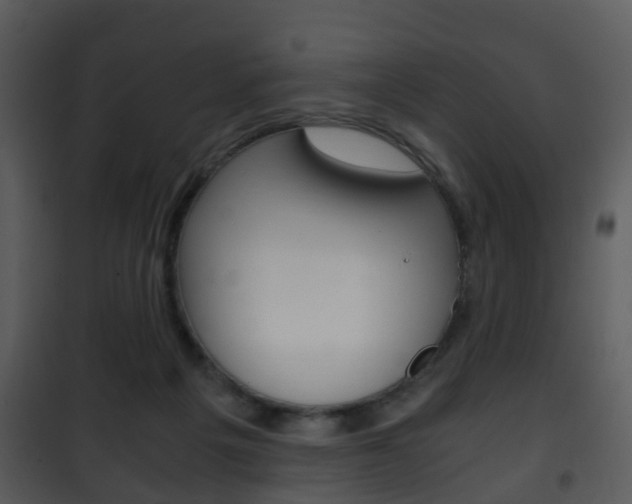 X0000101960217200807180710