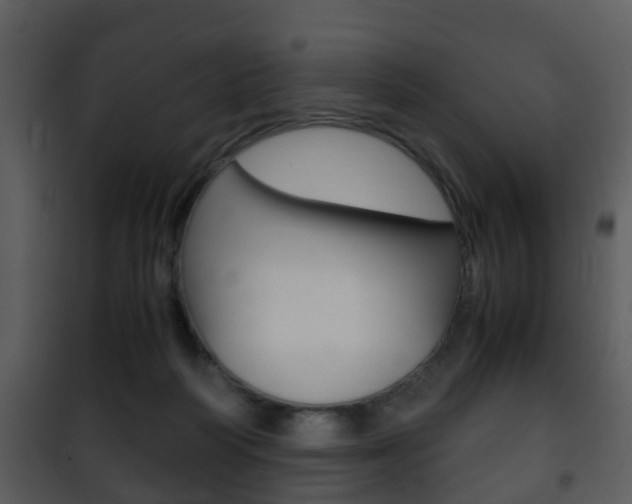 X0000101960218200807180710