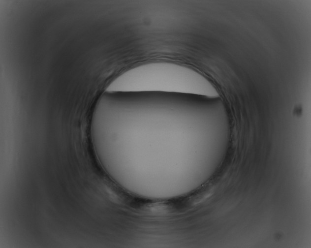 X0000101960219200807180710