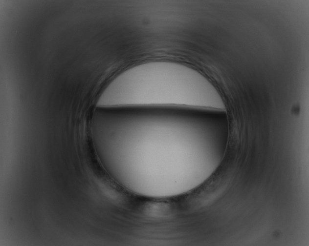 X0000101960220200807180710