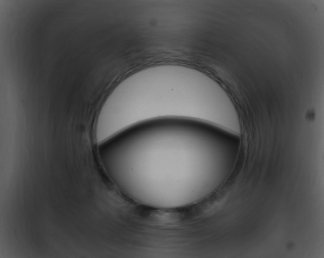 X0000101960221200807180710