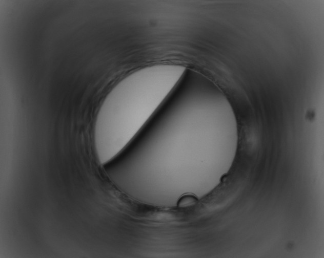 X0000101960224200807180710