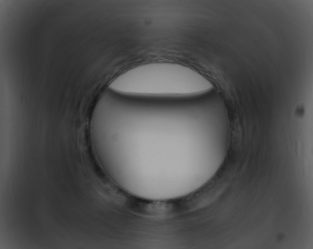 X0000101960225200807180710