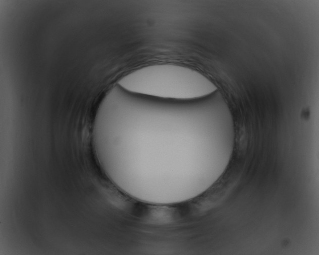 X0000101960226200807180710