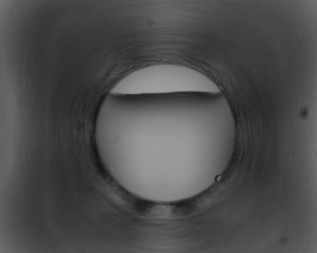 X0000101960227200807180710