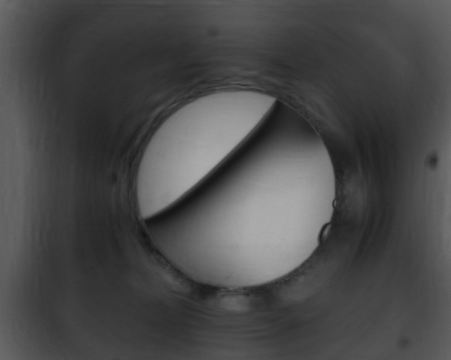 X0000101960228200807180710