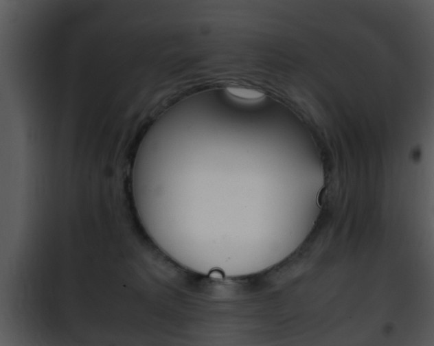 X0000101960229200807180710
