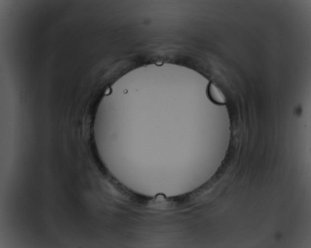 X0000101960231200807180710