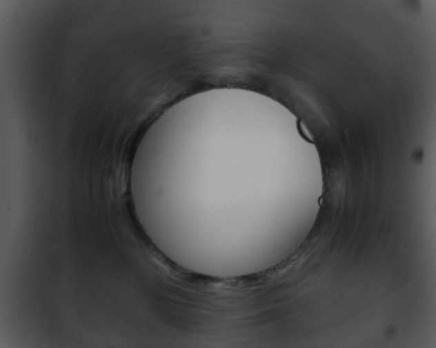 X0000101960232200807180710
