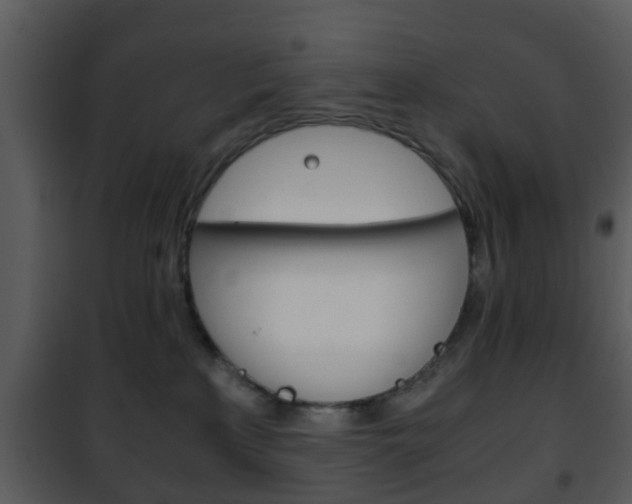 X0000101960233200807180710