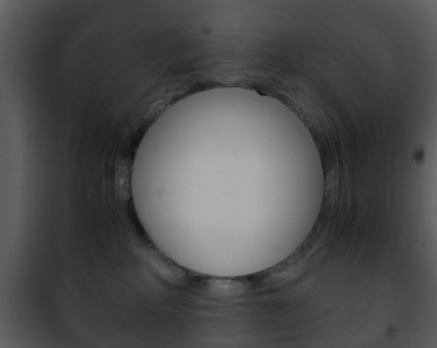 X0000101960234200807180710
