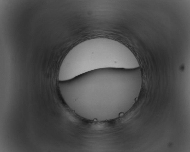 X0000101960235200807180710