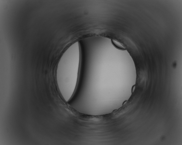 X0000101960236200807180710