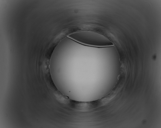 X0000101960237200807180710