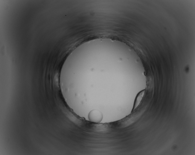 X0000101960238200807180710