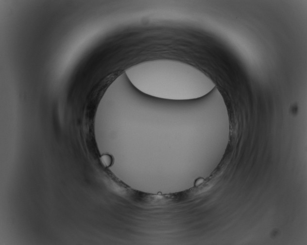 X0000101960239200807180710