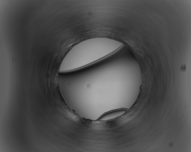 X0000101960240200807180710