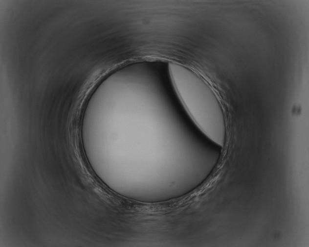 X0000101960241200807180709