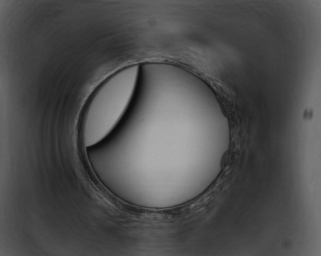 X0000101960242200807180709