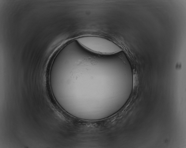 X0000101960243200807180709