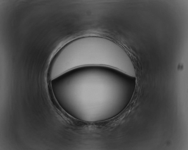 X0000101960244200807180709
