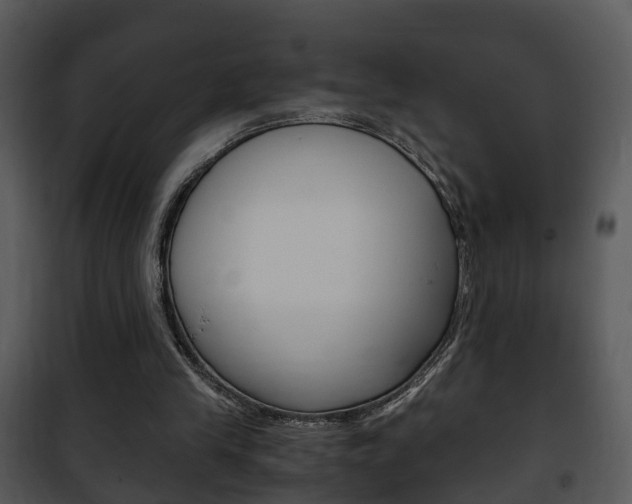 X0000101960245200807180709
