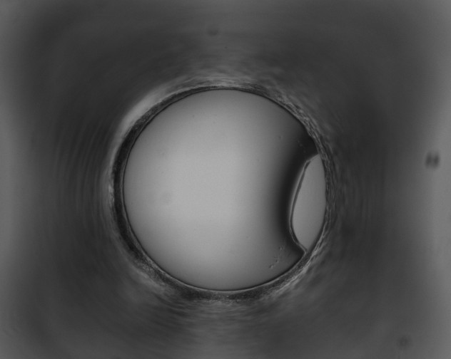 X0000101960246200807180709